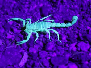 10 Great Ideas for Glow-in-the-Dark 3D Printing
