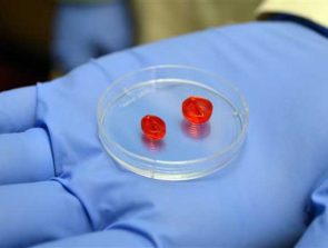 Scientists to 3D Print a Human Heart