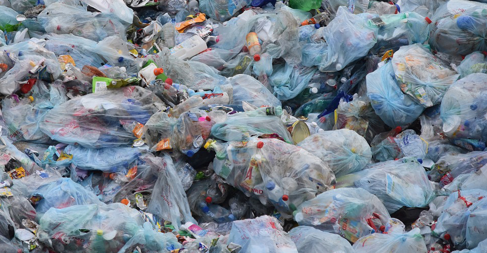 Can Plastic Bags Be Recycled?