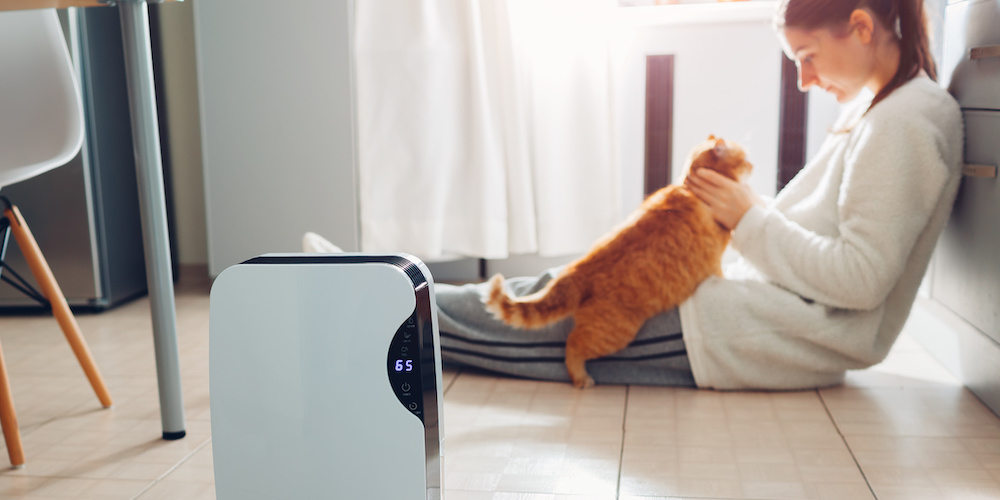 7 Best Smart Air Purifiers of 2019