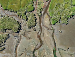 3D Mapping Cameras: What Are They and How Do They Work?