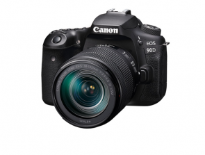 6 Best Canon 90D Lenses in 2020