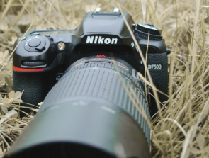 6 Best DSLR Under $1,000 in 2020