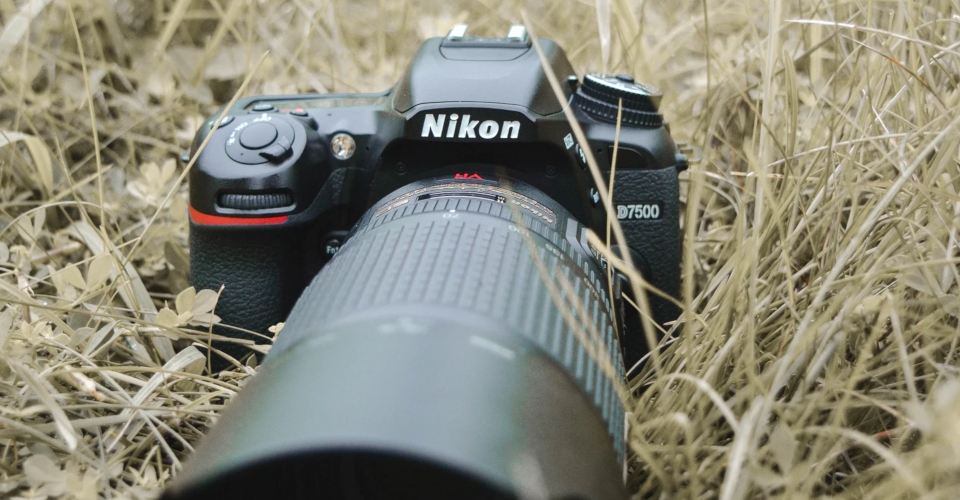 6 Best DSLR Under $1,000 in 2020