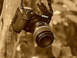 6 Best Lenses for Nikon D750 in 2020