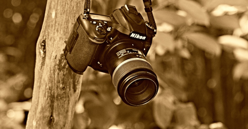 6 Best Lenses for Nikon D750 in 2020