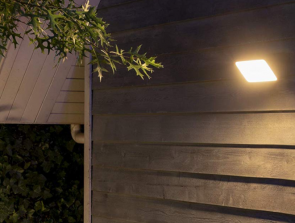 A Detailed Guide to Every Philips Hue Lightbulb – Comparison