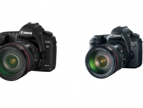 Canon 6D vs Canon 5D Mark ii: Differences and how do they compare?