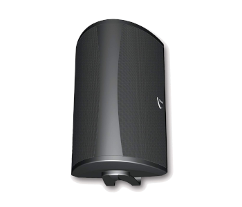 Definitive Technology AW6500 Outdoor Speaker