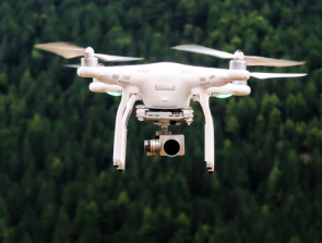 How to Get Your Drone Out of a Tree