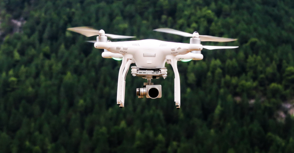 How to Get Your Drone Out of a Tree