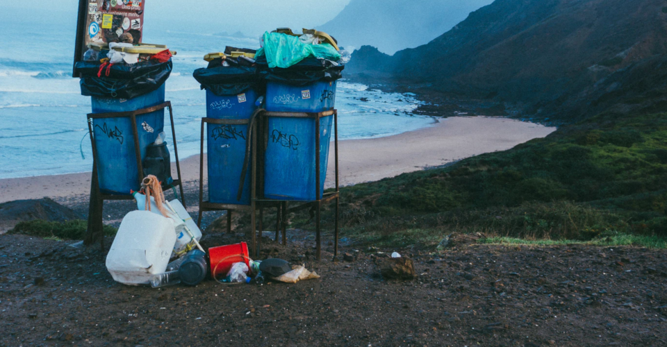 How to Recycle Plastic: Which plastics can be recycled?