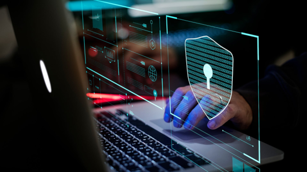 Security Consultant