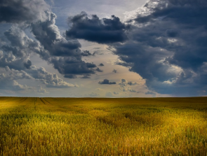 The Benefits of IoT in Agriculture
