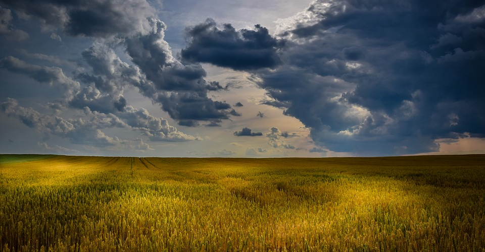 The Benefits of IoT in Agriculture