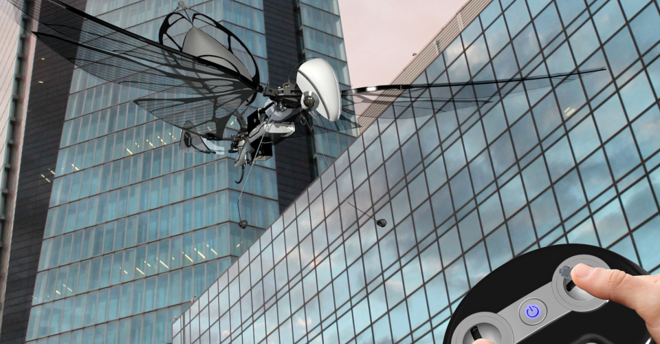 What is an Ornithopter and Will It Be the Next Big Thing in Drones?